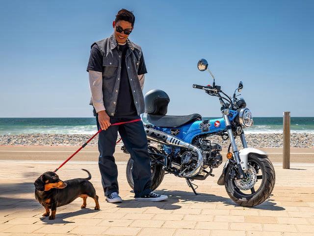 2025 Honda Powersport Dax 125 Base