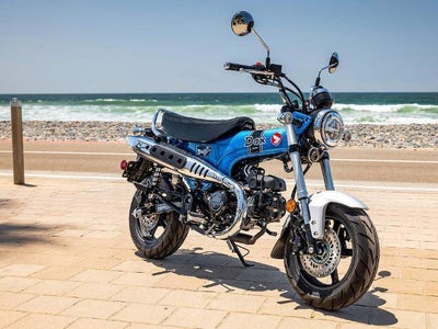 2025 Honda Powersport Dax 125 Base