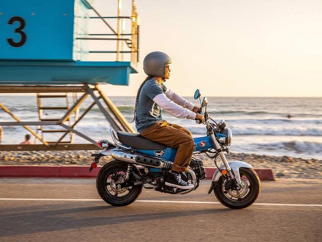 2025 Honda Powersport Dax 125 Base