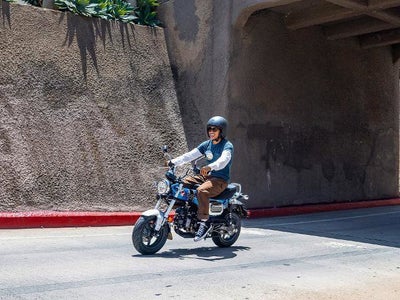 2025 Honda Powersport Dax 125 Base