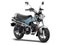 2025 Honda Powersport Dax 125 Base