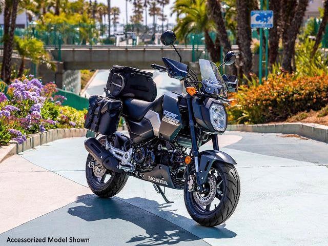 2026 Honda Powersport Grom SP Base