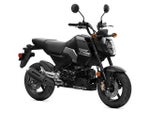 2026 Honda Powersport Grom SP Base