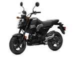 2026 Honda Powersport Grom SP Base