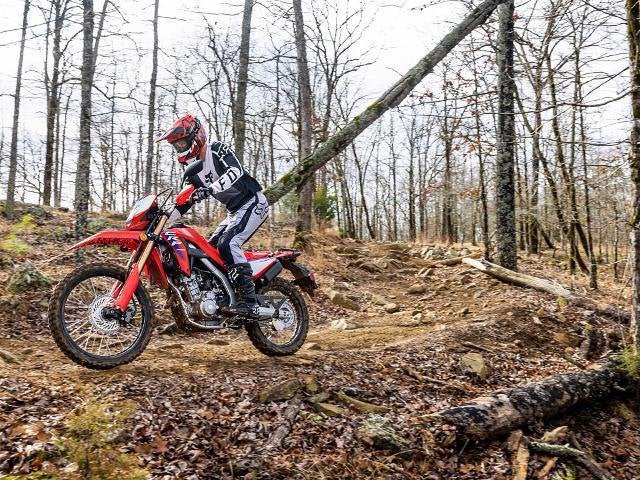 2025 Honda Powersport CRF300L ABS Base