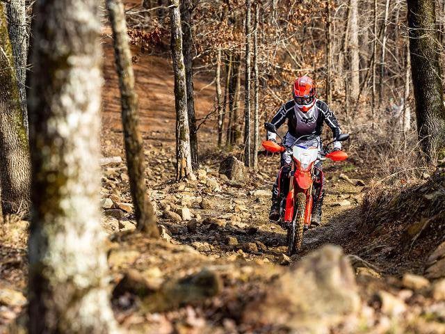 2025 Honda Powersport CRF300L ABS Base