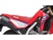 2025 Honda Powersport CRF300L ABS Base