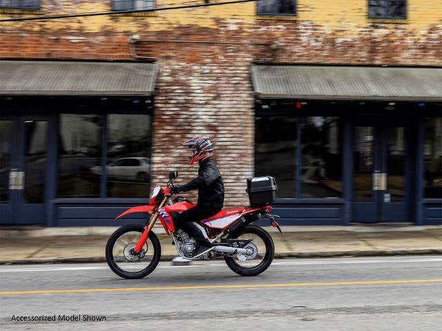 2025 Honda Powersport CRF300L ABS Base