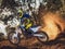 2025 Husqvarna TC 150 Base