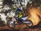 2025 Husqvarna TC 250 Base