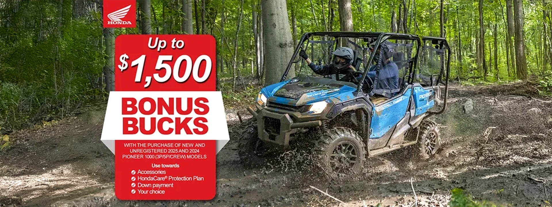 Honda side by side 2